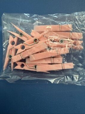 Pink Mini Plastic Clothespins - 12 Pack